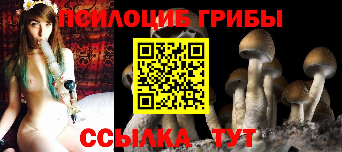 Строитель  Галлюциногенные грибы мухоморы  купить   Вход с VPN 